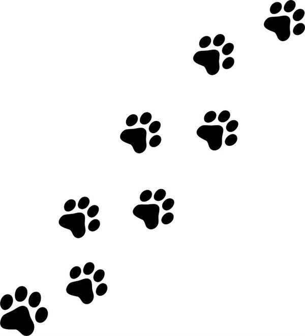 PAWS 